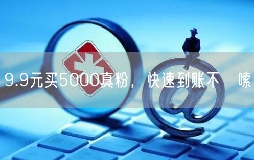9.9元买5000真粉，快速到账不啰嗦