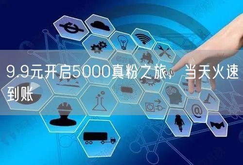 9.9元开启5000真粉之旅，当天火速到账