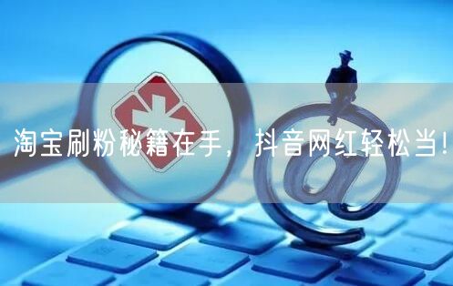 淘宝刷粉秘籍在手，抖音网红轻松当！