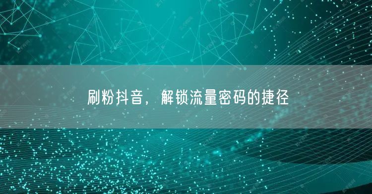 刷粉抖音，解锁流量密码的捷径