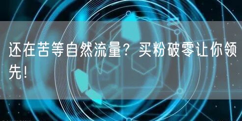 还在苦等自然流量？买粉破零让你领先！