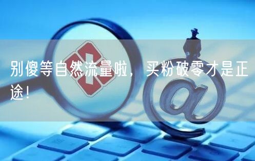 别傻等自然流量啦，买粉破零才是正途！