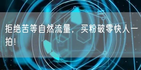 拒绝苦等自然流量，买粉破零快人一拍！