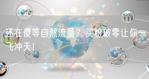 还在傻等自然流量？买粉破零让你一飞冲天！