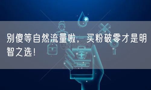 别傻等自然流量啦，买粉破零才是明智之选！