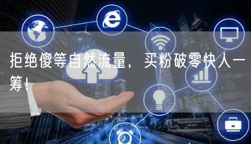 拒绝傻等自然流量，买粉破零快人一筹！