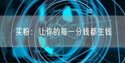 买粉：让你的每一分钱都生钱