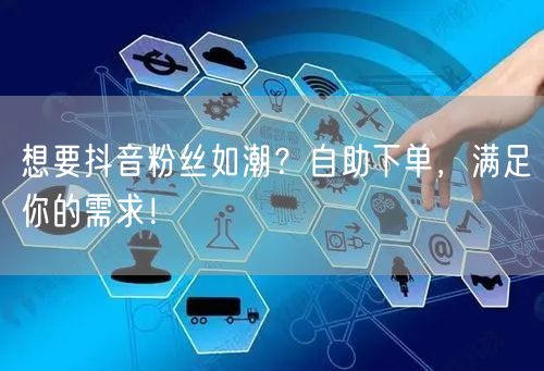 想要抖音粉丝如潮？自助下单，满足你的需求！