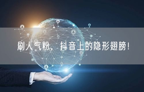 刷人气粉，抖音上的隐形翅膀！