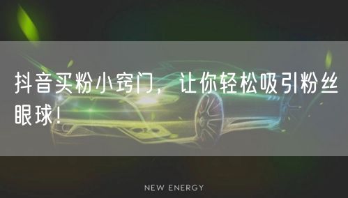 抖音买粉小窍门，让你轻松吸引粉丝眼球！