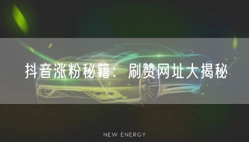 抖音涨粉秘籍：刷赞网址大揭秘