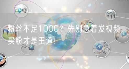 粉丝不足1000？先别急着发视频，买粉才是王道！