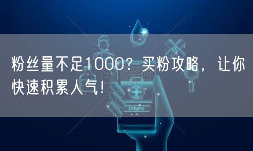 粉丝量不足1000？买粉攻略，让你快速积累人气！