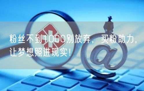 粉丝不到1000别放弃，买粉助力，让梦想照进现实！