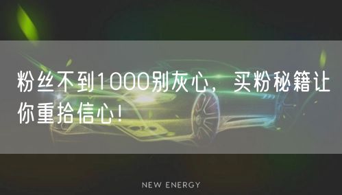 粉丝不到1000别灰心，买粉秘籍让你重拾信心！