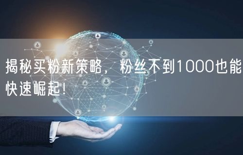 揭秘买粉新策略，粉丝不到1000也能快速崛起！
