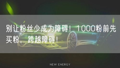 别让粉丝少成为障碍！1000粉前先买粉，跨越障碍！