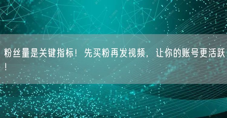 粉丝量是关键指标！先买粉再发视频，让你的账号更活跃！