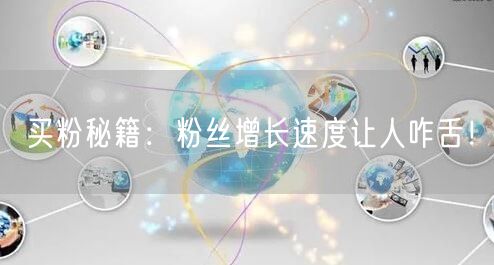买粉秘籍：粉丝增长速度让人咋舌！