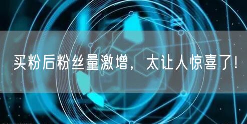 买粉后粉丝量激增，太让人惊喜了！
