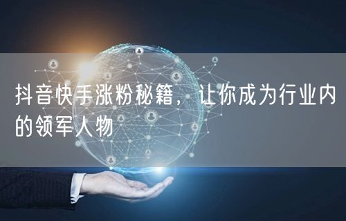 抖音快手涨粉秘籍，让你成为行业内的领军人物
