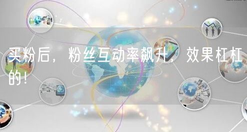 买粉后，粉丝互动率飙升，效果杠杠的！