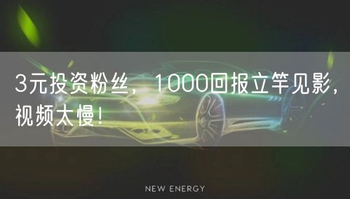 3元投资粉丝，1000回报立竿见影，视频太慢！