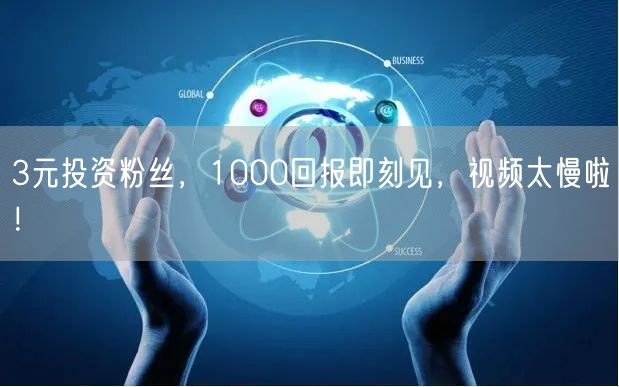 3元投资粉丝，1000回报即刻见，视频太慢啦！