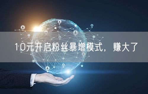 10元开启粉丝暴增模式，赚大了