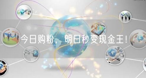 今日购粉，明日秒变现金王！