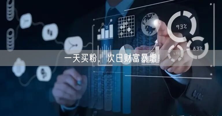 一天买粉，次日财富暴增！