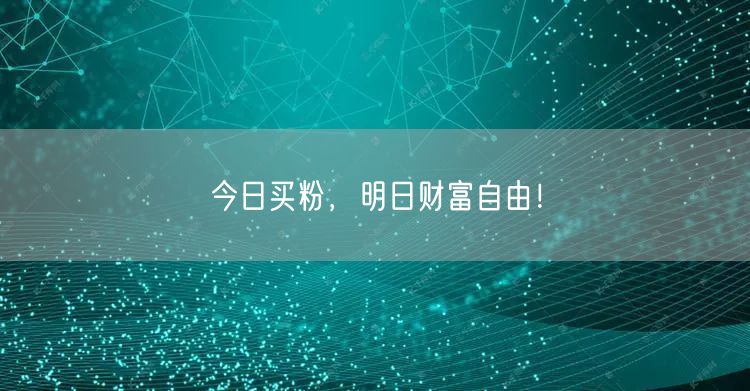今日买粉，明日财富自由！
