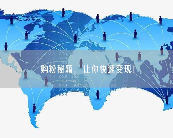 购粉秘籍，让你快速变现！