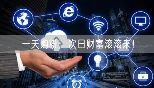 一天购粉，次日财富滚滚来！
