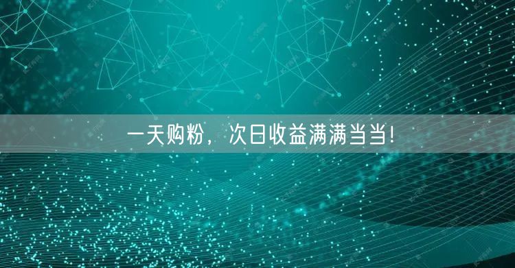 一天购粉，次日收益满满当当！