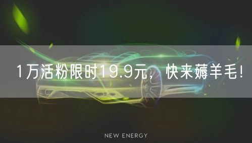 1万活粉限时19.9元，快来薅羊毛！