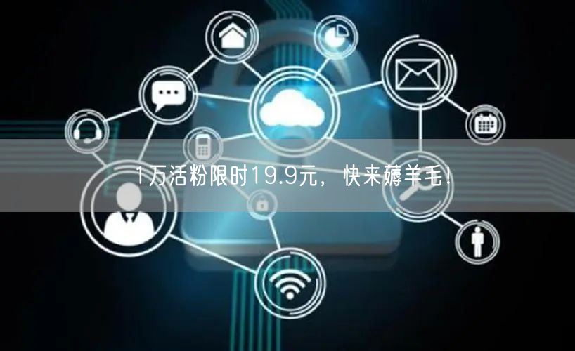 1万活粉限时19.9元，快来薅羊毛！