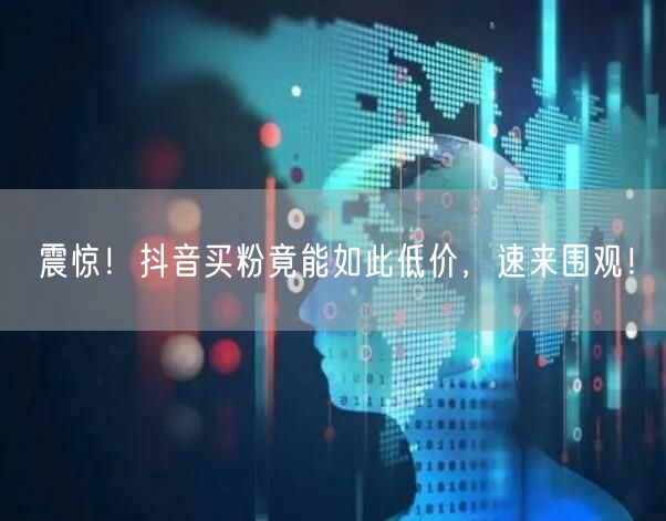 震惊！抖音买粉竟能如此低价，速来围观！