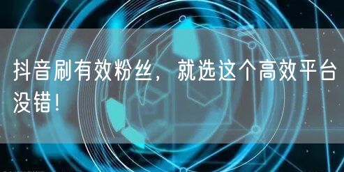 抖音刷有效粉丝，就选这个高效平台没错！