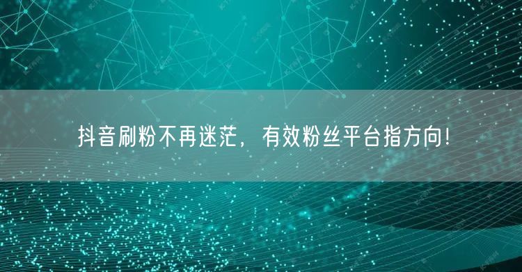 抖音刷粉不再迷茫，有效粉丝平台指方向！