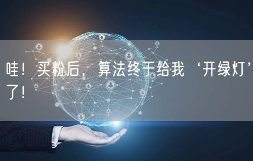 哇！买粉后，算法终于给我‘开绿灯’了！