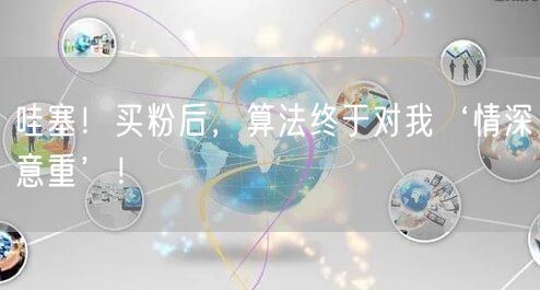 哇塞！买粉后，算法终于对我‘情深意重’！