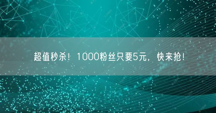 超值秒杀！1000粉丝只要5元，快来抢！