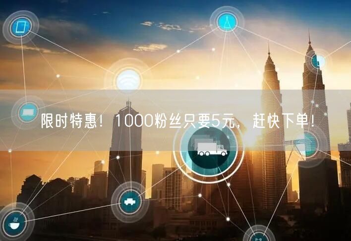 限时特惠！1000粉丝只要5元，赶快下单！