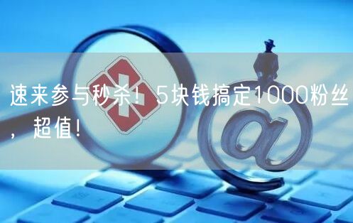 速来参与秒杀！5块钱搞定1000粉丝，超值！