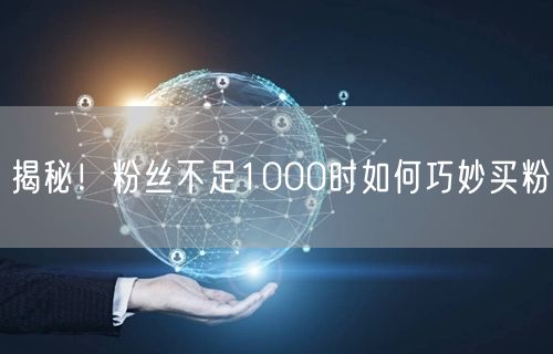 揭秘！粉丝不足1000时如何巧妙买粉