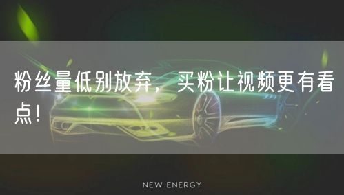 粉丝量低别放弃，买粉让视频更有看点！