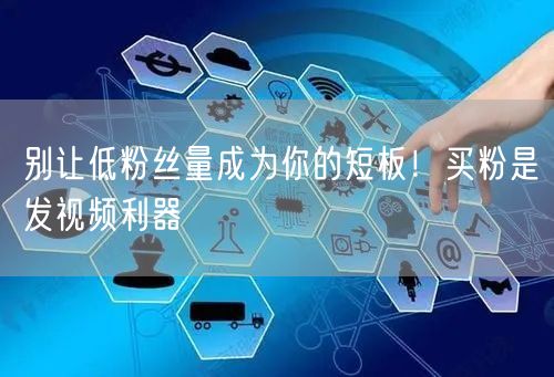 别让低粉丝量成为你的短板！买粉是发视频利器