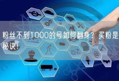粉丝不到1000的号如何翻身？买粉是秘诀！