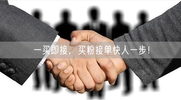 一买即接，买粉接单快人一步！
